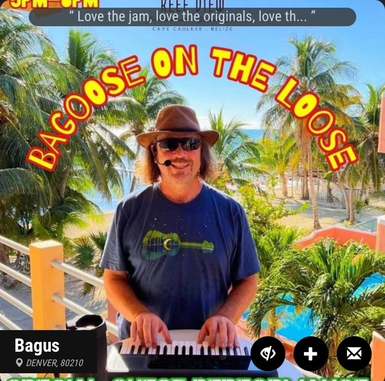 Bagoose on the Loose logo